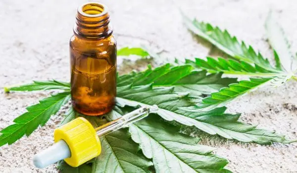 Hemp_Oil-600x350.jpg